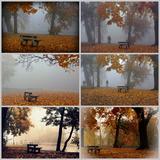 Jesień na 7 fotografiach