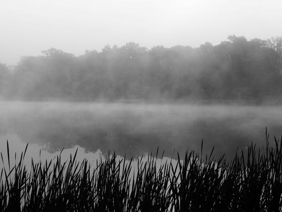 mgła nad jeziorkiem