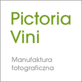 Pictoria Vini