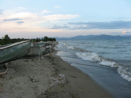 W ciągu dnia plaża wygląda na złomowisko starych łódek, strzeżone przez gromadkę pięciu zabawnych psów