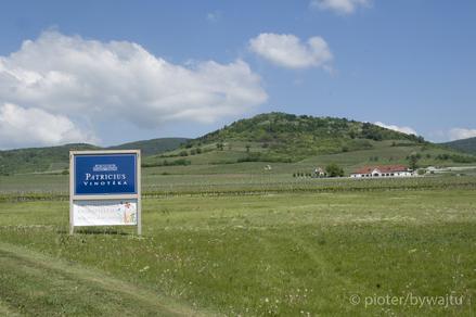 Posiadłość Patricius bez trudu dojrzymy z drogi 37 z Miszkolca do Sárospatak.