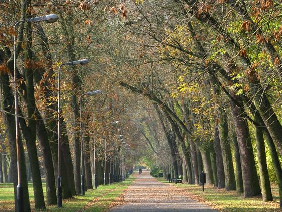 Park na Zdrowiu w Łodzi; aleja spokoju