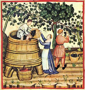 Prasa do wyrobu wina - Tacuina sanitatis (XIV w.)