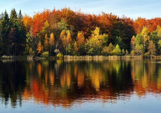 Jezioro Ciche jesienią