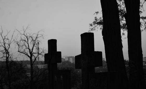 cmentarz 