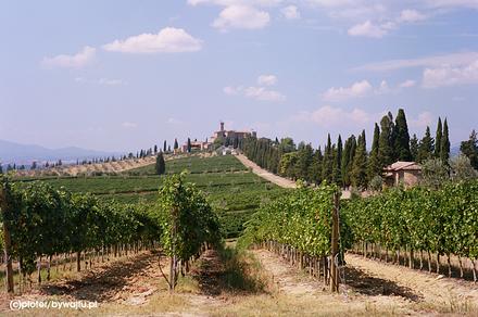 Malowniczo połozona siedziba Castello Banfi - potentata wśród producentów win z Montalcino