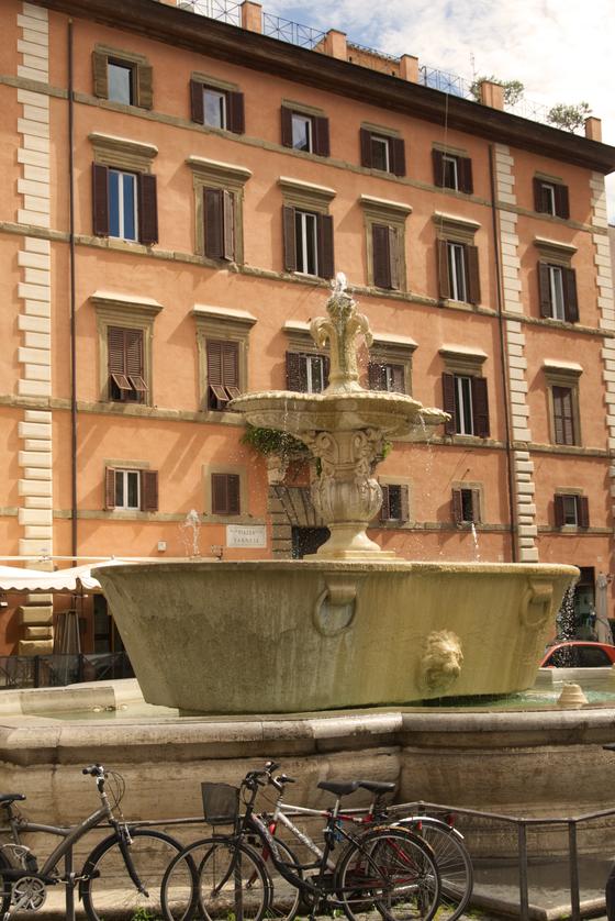 Fontanna przed Pałacem Farnese w Rzymie