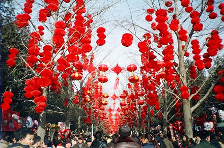 Red lanterns, Spring Festival, Ditan Park Beijing 