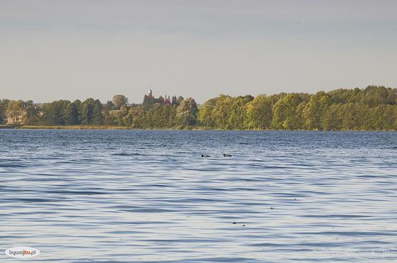 2. Jezioro Wulpińskie, widok z Barwin