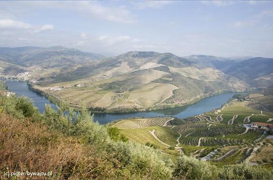 Krajobraz Douro