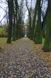 Jesień w wolsztyńskim parku
